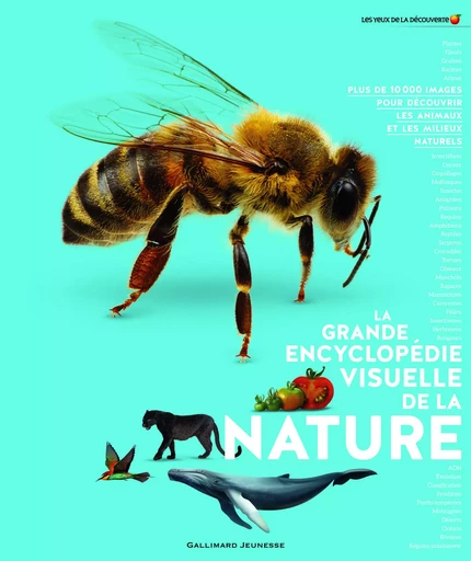 La grande encyclopédie visuelle de la nature -  Collectif - GALLIMARD JEUNE