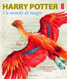 Harry Potter, un monde de magie