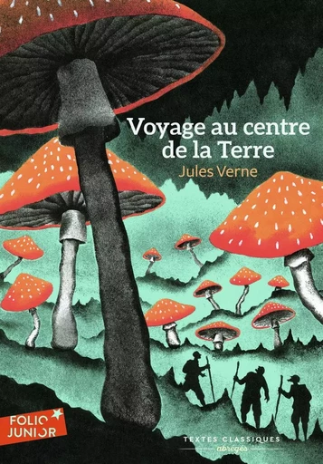 Voyage au centre de la Terre - Jules Verne - GALLIMARD JEUNE