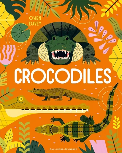 Crocodiles - Owen Davey - GALLIMARD JEUNE