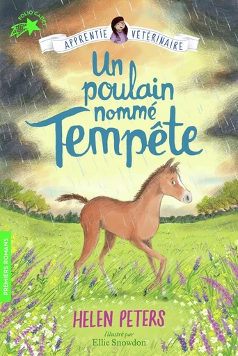 Un poulain nommé Tempête - Helen Peters - GALLIMARD JEUNE