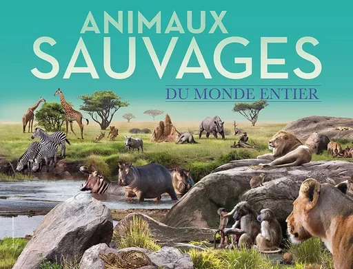 Animaux sauvages du monde entier -  Collectif - GALLIMARD JEUNE