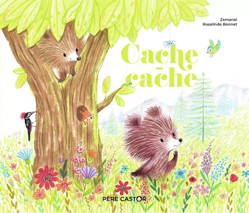 Cache-cache -  Zemanel - PERE CASTOR