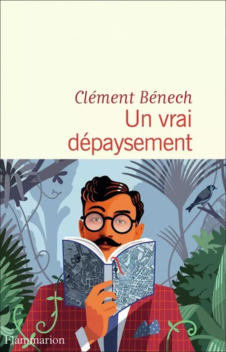 Un vrai dépaysement - Clément Bénech - FLAMMARION