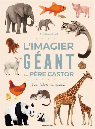 L'Imagier géant du Père Castor - ADELINE RUEL - PERE CASTOR