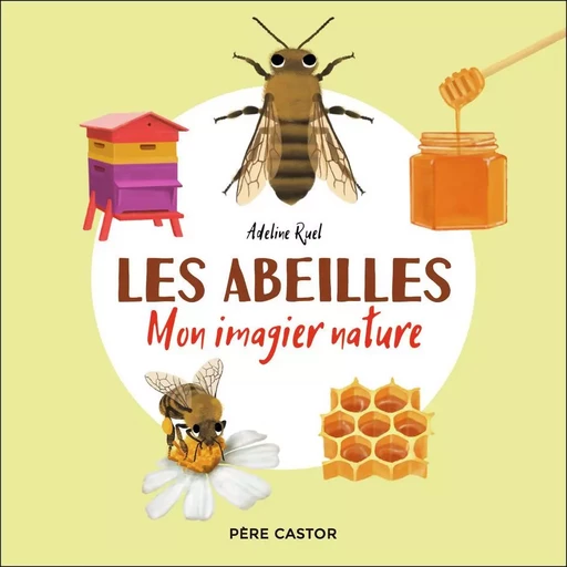 Les abeilles - ADELINE RUEL - PERE CASTOR