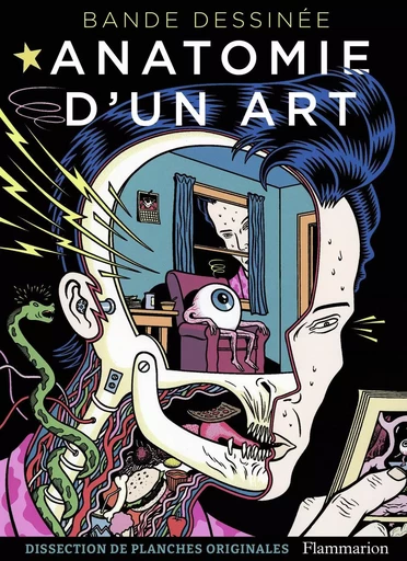 Bande dessinée - Anatomie d'un art - Damien MacDonald - FLAMMARION