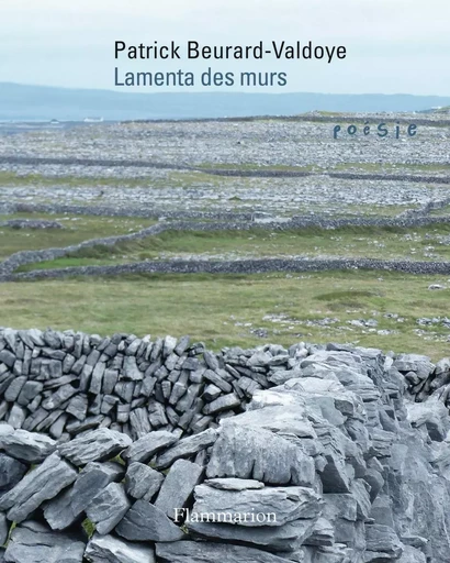 Lamenta des murs - Patrick Beurard-Valdoye - FLAMMARION