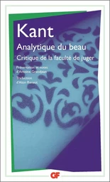 Analytique du beau