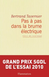 Pas à pas dans la brume électrique