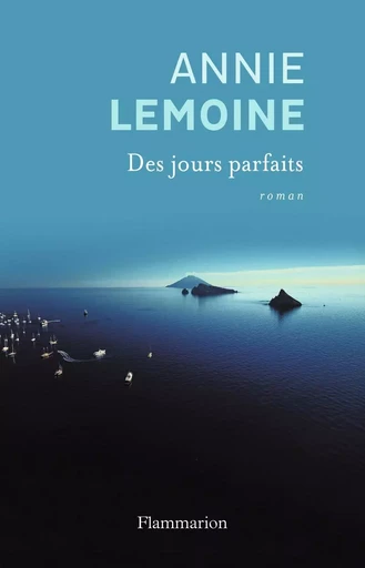 Des jours parfaits - Annie Lemoine - FLAMMARION