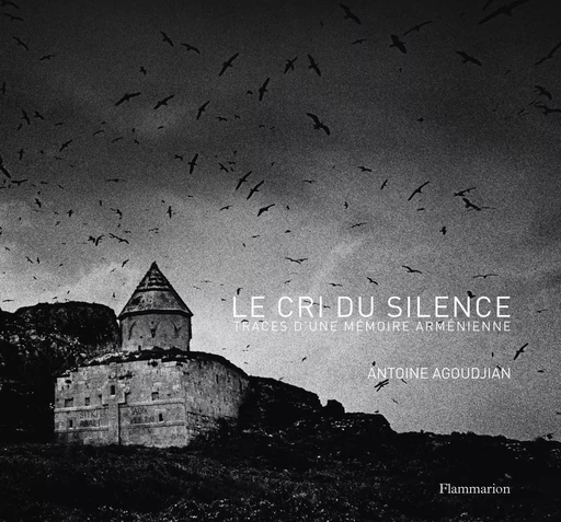 Le Cri du silence - Antoine AGOUDJIAN - FLAMMARION