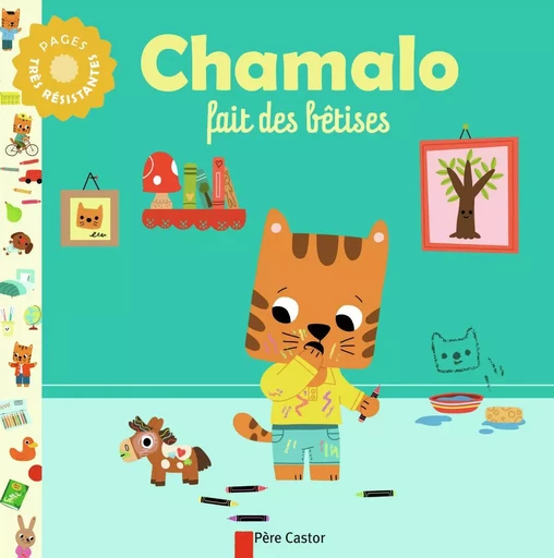 Chamalo fait des bêtises - Marion Billet, Charlotte MOUNDLIC - PERE CASTOR