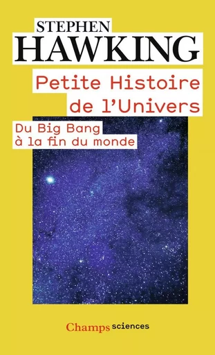 Petite Histoire de l'Univers - Stephen Hawking - FLAMMARION