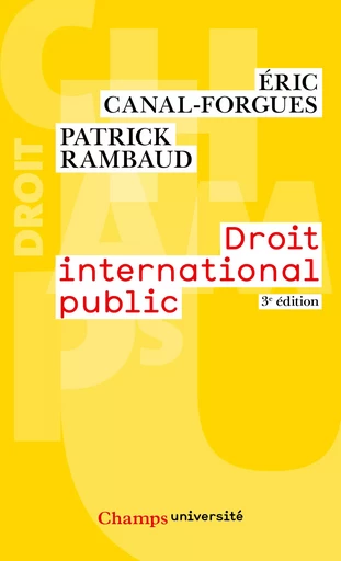 Droit international public - Patrick Rambaud, Éric Canal-Forgues - FLAMMARION