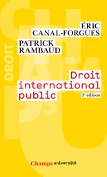 Droit international public