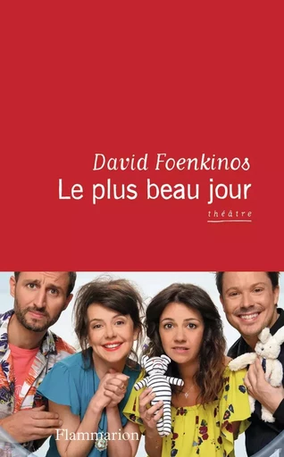 Le plus beau jour - David Foenkinos - FLAMMARION