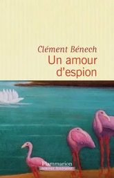 Un amour d'espion