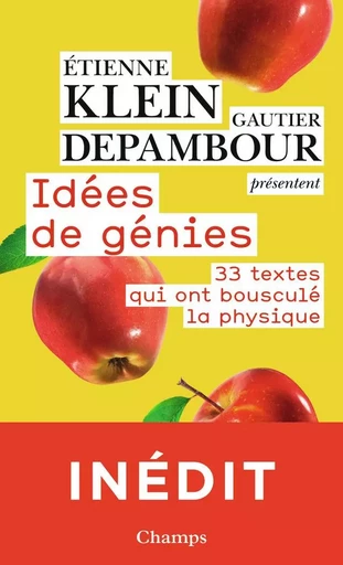 Idées de génies - Étienne Klein, Gautier Depambour - FLAMMARION