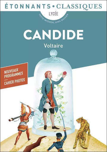 Candide -  Voltaire - FLAMMARION