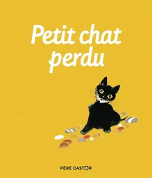 Petit Chat perdu