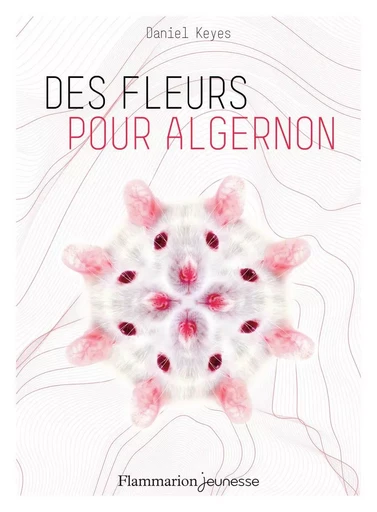 Des fleurs pour Algernon - Daniel Keyes - FLAM JEUNESSE