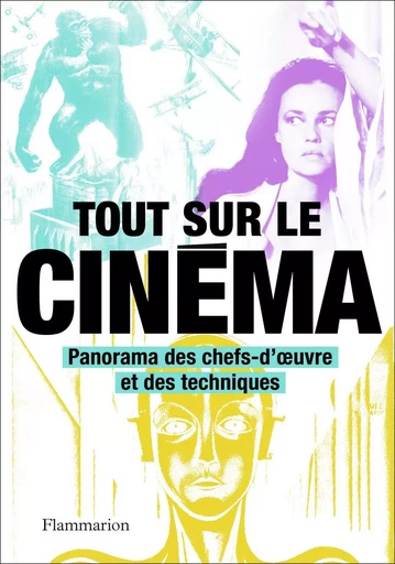 Tout sur le cinéma -  Collectif - FLAMMARION