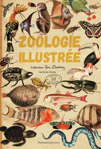 Zoologie illustrée - Carmen Soria - PERE CASTOR