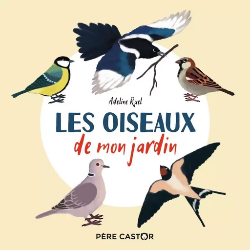 Les oiseaux de mon jardin - ADELINE RUEL - PERE CASTOR