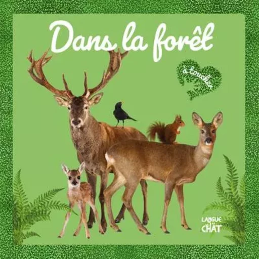 Mon grand Bébé touche-à-tout - Dans la forêt -  Collectif - Hemma