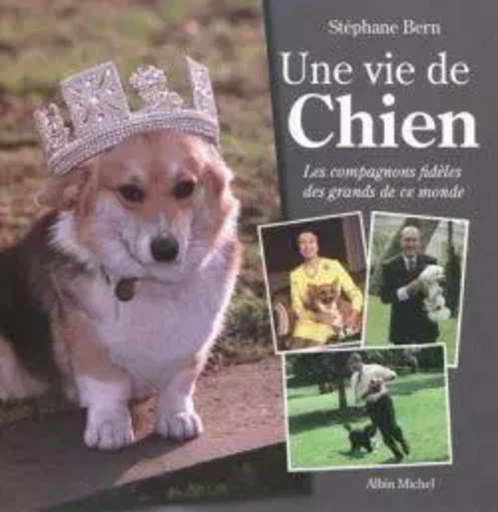 Une vie de chien - Stéphane Bern - ALBIN MICHEL