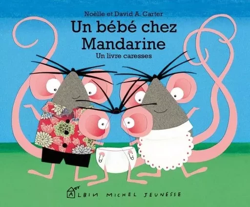 Un bébé chez Mandarine - David A. Carter, Noëlle Carter - ALBIN MICHEL