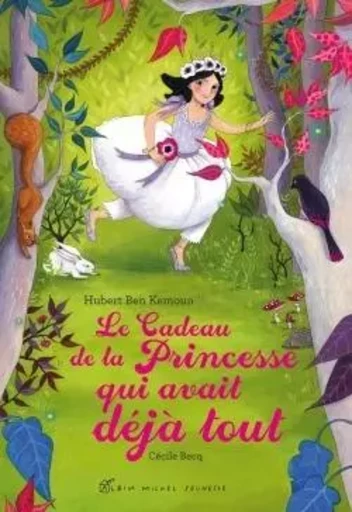 Le Cadeau de la princesse qui avait déjà tout - Hubert Ben kemoun - ALBIN MICHEL