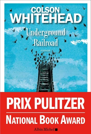 Underground Railroad - Colson Whitehead - ALBIN MICHEL