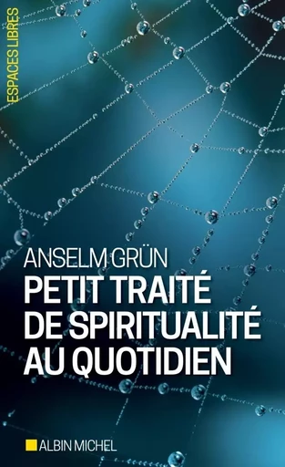 Petit Traité de spiritualité au quotidien - Anselm Grun - ALBIN MICHEL