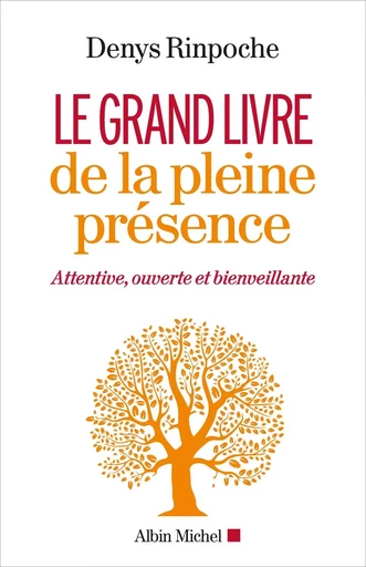 Le Grand Livre de la pleine présence - Denys Rimpoche - ALBIN MICHEL