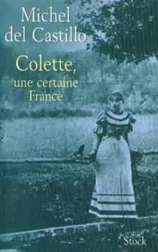 Colette, une certaine France - Michel Del Castillo - STOCK