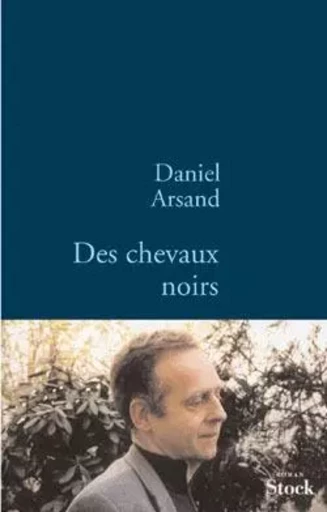 DES CHEVAUX NOIRS - Daniel Arsand - STOCK