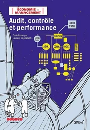 Audit, contrôle et performance