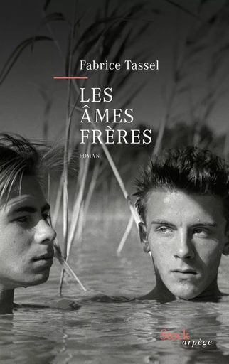 Les âmes frères - Fabrice Tassel - STOCK