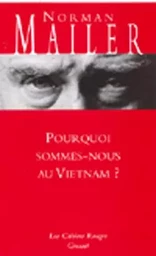 Pourquoi sommes-nous au Vietnam?