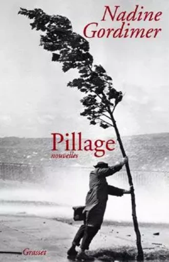 Pillage - Nadine Gordimer - GRASSET