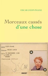 Morceaux cassés d'une chose