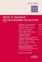 Droit et pratique des procédures collectives 2023/2024. 12e éd.