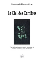 LE CIEL DES CARRIERES POUR OCTUOR (CONDUCTEUR)