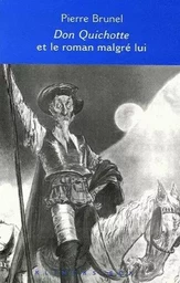 Don Quichotte et le roman malgré lui