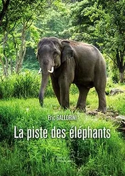 La piste des éléphants