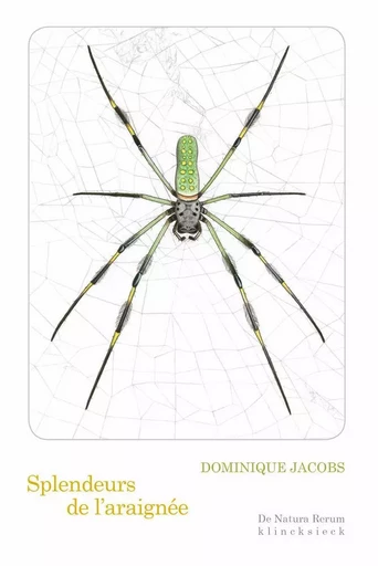 Splendeurs de l'araignée - Dominique Jacobs - Klincksieck