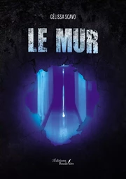 Le mur