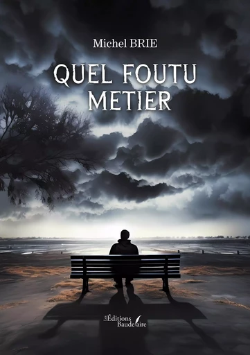 Quel foutu métier - Michel BRIE - BAUDELAIRE